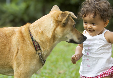 Overcome Fear of Dogs with Deep Trance Hypnosis