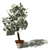 Money Tree - Money Belief Change with Deep Trance Hypnosis