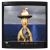 When you watch TV, you are experiencing hypnosis